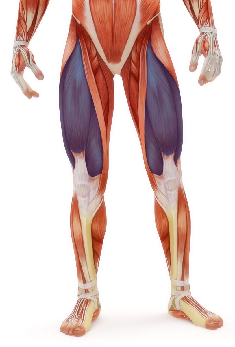 1_QUADS-X2_cropped.jpg 1_QUADS-X2_cropped.jpg